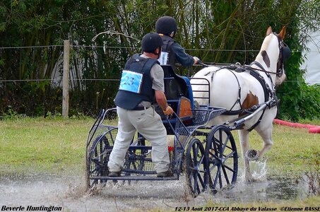 2017-08 CCA Valasse Chevaux et Traits, 23-DSC_1817