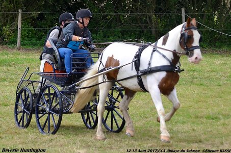 2017-08 CCA Valasse Chevaux et Traits, 23-DSC_1818