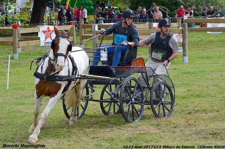 2017-08 CCA Valasse Chevaux et Traits, 23-DSC_1958