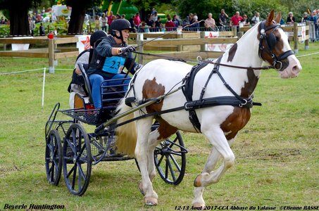 2017-08 CCA Valasse Chevaux et Traits, 23-DSC_1961