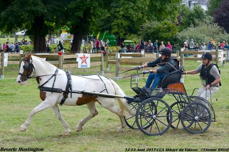 2017-08 CCA Valasse Chevaux et Traits, 23-DSC_1970