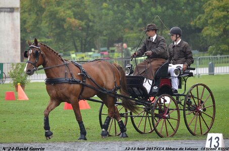 2017-08 CCA Valasse Chevaux et Traits, 24-DSC_0036