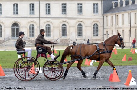 2017-08 CCA Valasse Chevaux et Traits, 24-DSC_0041