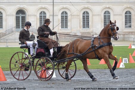 2017-08 CCA Valasse Chevaux et Traits, 24-DSC_0048