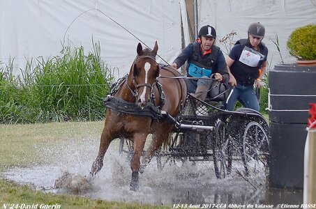 2017-08 CCA Valasse Chevaux et Traits, 24-DSC_0946
