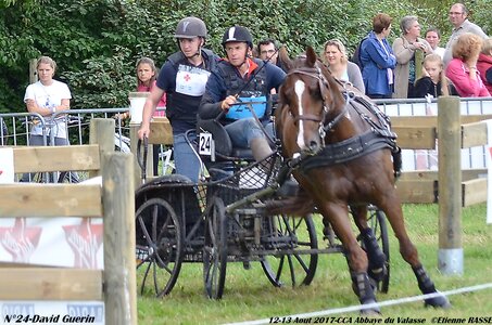 2017-08 CCA Valasse Chevaux et Traits, 24-DSC_1063
