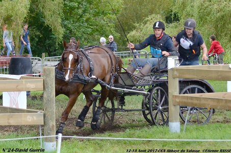 2017-08 CCA Valasse Chevaux et Traits, 24-DSC_1068
