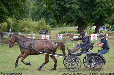 2017-08 CCA Valasse Chevaux et Traits, 24-DSC_1131