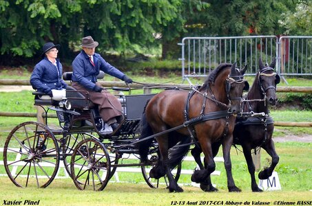 2017-08 CCA Valasse Chevaux et Traits, 25-0DSC_9500