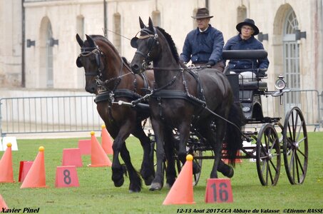 2017-08 CCA Valasse Chevaux et Traits, 25-0DSC_9622
