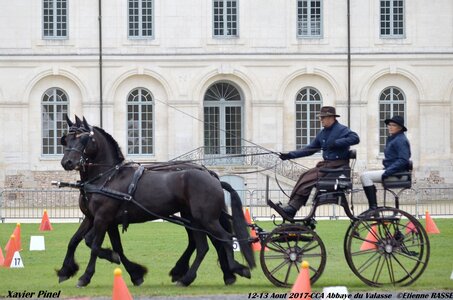 2017-08 CCA Valasse Chevaux et Traits, 25-0DSC_9626