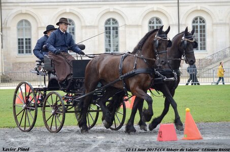 2017-08 CCA Valasse Chevaux et Traits, 25-0DSC_9631