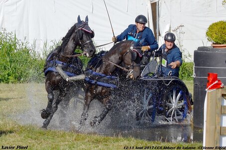 2017-08 CCA Valasse Chevaux et Traits, 25-DSC_0306