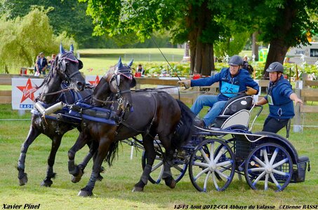 2017-08 CCA Valasse Chevaux et Traits, 25-DSC_0414