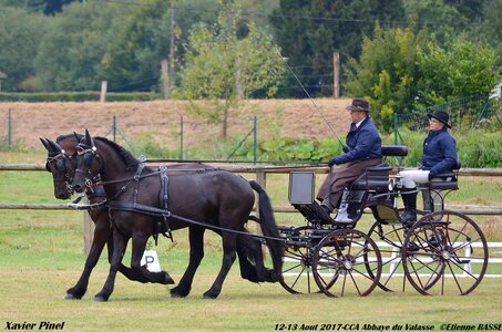 2017-08 CCA Valasse Chevaux et Traits, 25-0DSC_9505