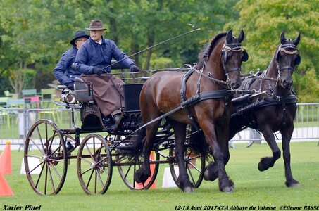 2017-08 CCA Valasse Chevaux et Traits, 25-0DSC_9624