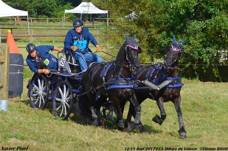 2017-08 CCA Valasse Chevaux et Traits, 25-DSC_0300