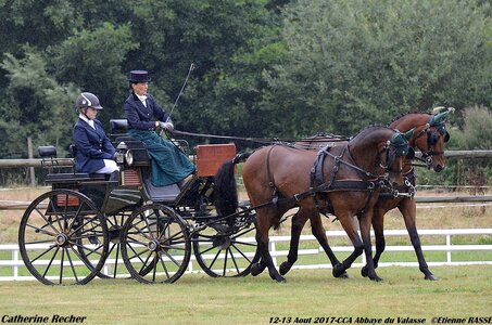 2017-08 CCA Valasse Chevaux et Traits, 26-0DSC_9531