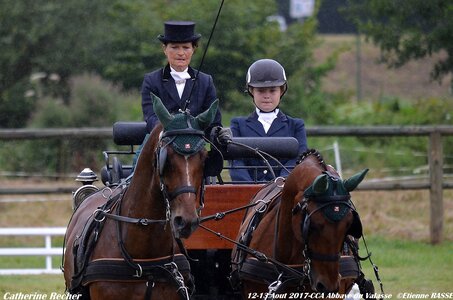 2017-08 CCA Valasse Chevaux et Traits, 26-0DSC_9533