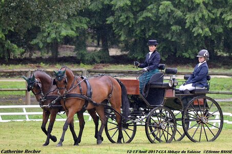2017-08 CCA Valasse Chevaux et Traits, 26-0DSC_9536