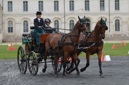 2017-08 CCA Valasse Chevaux et Traits, 26-0DSC_9633