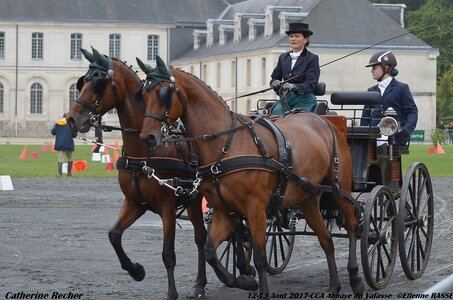 2017-08 CCA Valasse Chevaux et Traits, 26-0DSC_9642