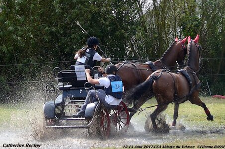 2017-08 CCA Valasse Chevaux et Traits, 26-DSC_2070