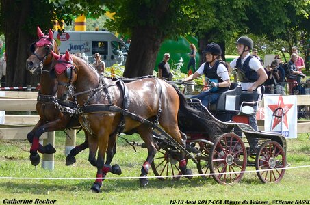 2017-08 CCA Valasse Chevaux et Traits, 26-DSC_2142