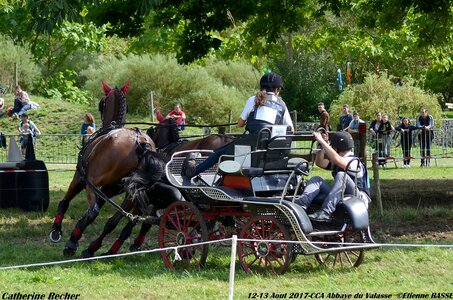 2017-08 CCA Valasse Chevaux et Traits, 26-DSC_2146