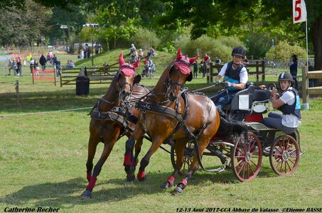 2017-08 CCA Valasse Chevaux et Traits, 26-DSC_2222