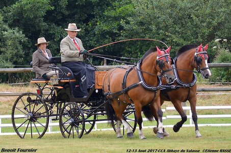 2017-08 CCA Valasse Chevaux et Traits, 27-0DSC_9565