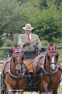 2017-08 CCA Valasse Chevaux et Traits, 27-0DSC_9566