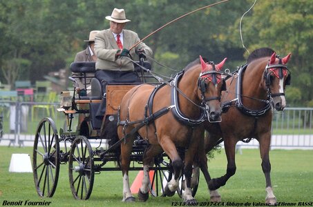2017-08 CCA Valasse Chevaux et Traits, 27-0DSC_9648