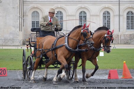2017-08 CCA Valasse Chevaux et Traits, 27-0DSC_9650