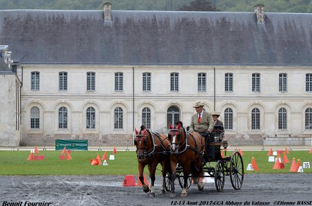 2017-08 CCA Valasse Chevaux et Traits, 27-0DSC_9661