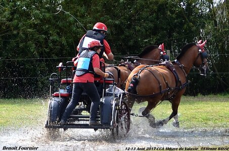 2017-08 CCA Valasse Chevaux et Traits, 27-DSC_1996