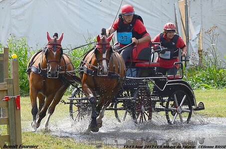 2017-08 CCA Valasse Chevaux et Traits, 27-DSC_2002
