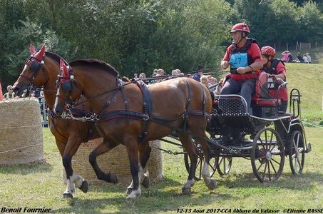 2017-08 CCA Valasse Chevaux et Traits, 27-DSC_2159