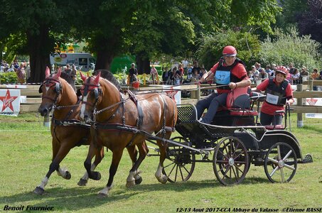 2017-08 CCA Valasse Chevaux et Traits, 27-DSC_2164