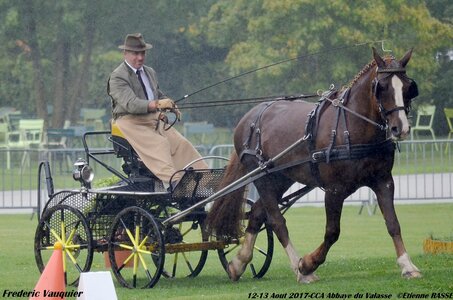 2017-08 CCA Valasse Chevaux et Traits, 28-0DSC_9721