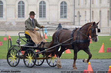 2017-08 CCA Valasse Chevaux et Traits, 28-0DSC_9725