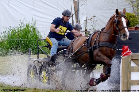2017-08 CCA Valasse Chevaux et Traits, 28-DSC_1026