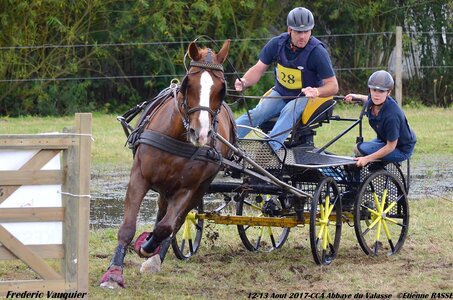 2017-08 CCA Valasse Chevaux et Traits, 28-DSC_1032