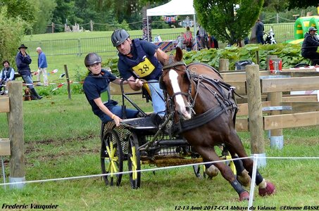 2017-08 CCA Valasse Chevaux et Traits, 28-DSC_1148