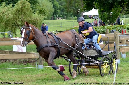 2017-08 CCA Valasse Chevaux et Traits, 28-DSC_1149