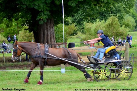2017-08 CCA Valasse Chevaux et Traits, 28-DSC_1150