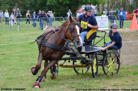 2017-08 CCA Valasse Chevaux et Traits, 28-DSC_1173