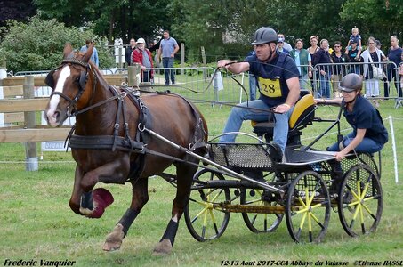 2017-08 CCA Valasse Chevaux et Traits, 28-DSC_1177