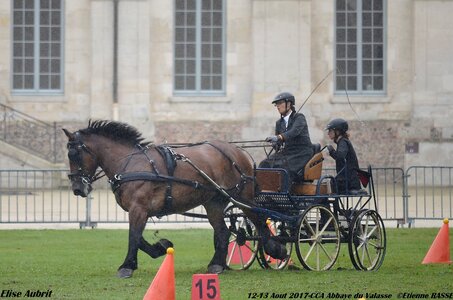 2017-08 CCA Valasse Chevaux et Traits, 29-0DSC_9759