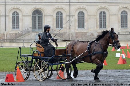 2017-08 CCA Valasse Chevaux et Traits, 29-0DSC_9762